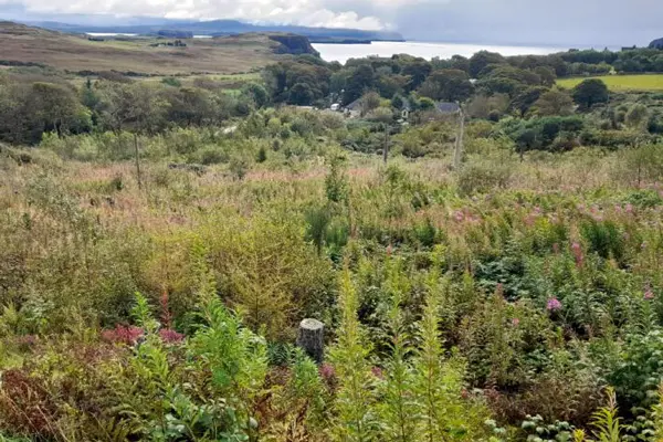 Community Woodland